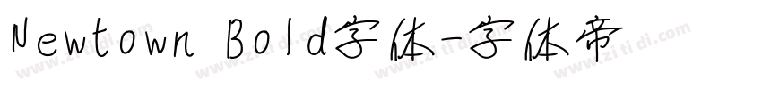 Newtown Bold字体字体转换